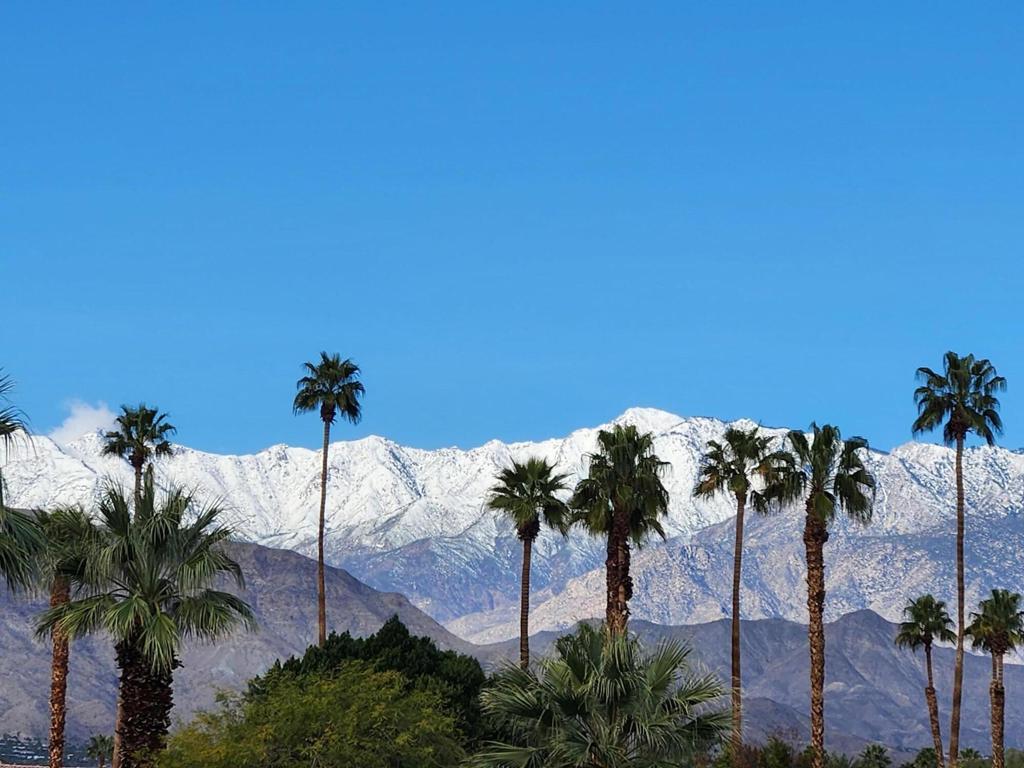 Palm Desert Greens - Manufactured In Park