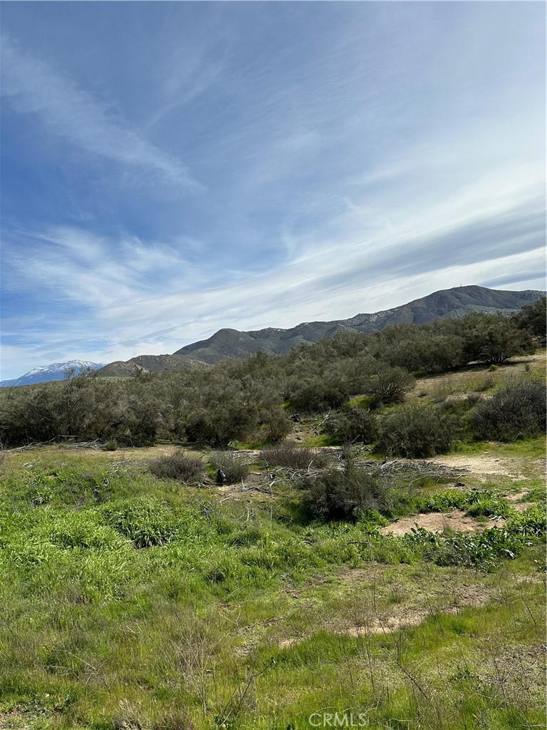 56 Taffel Ranch Road