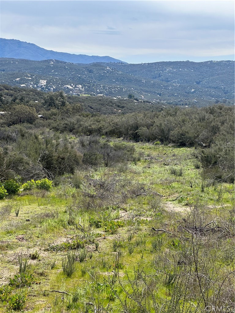 56 Taffel Ranch Road