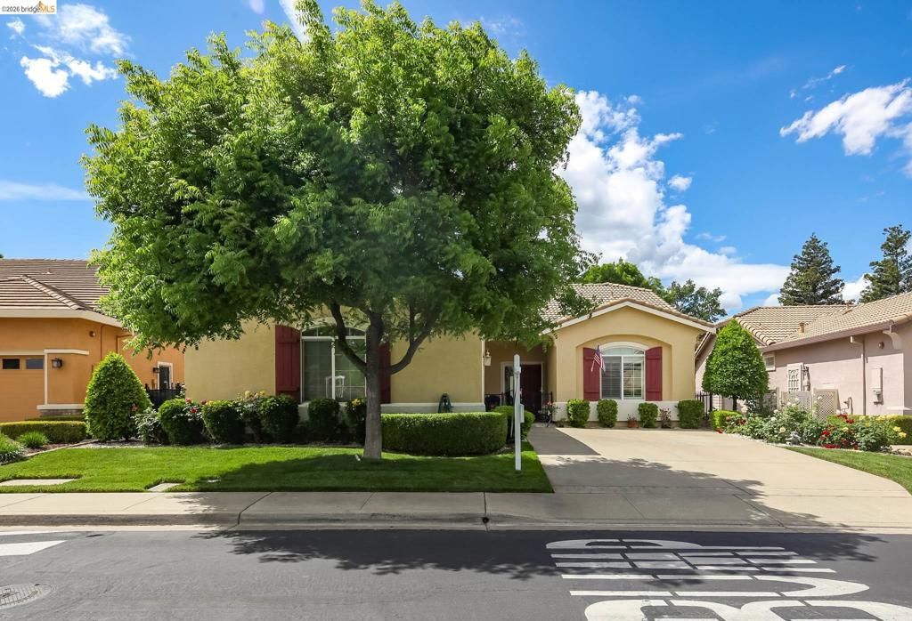 Photo of 485 Coronation Dr Dr, Brentwood, CA 94513 (MLS # 41131191)