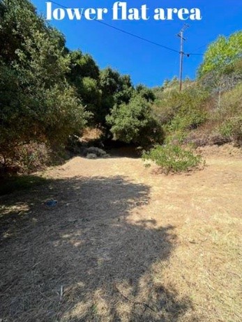 2906 Las flores canyon rd