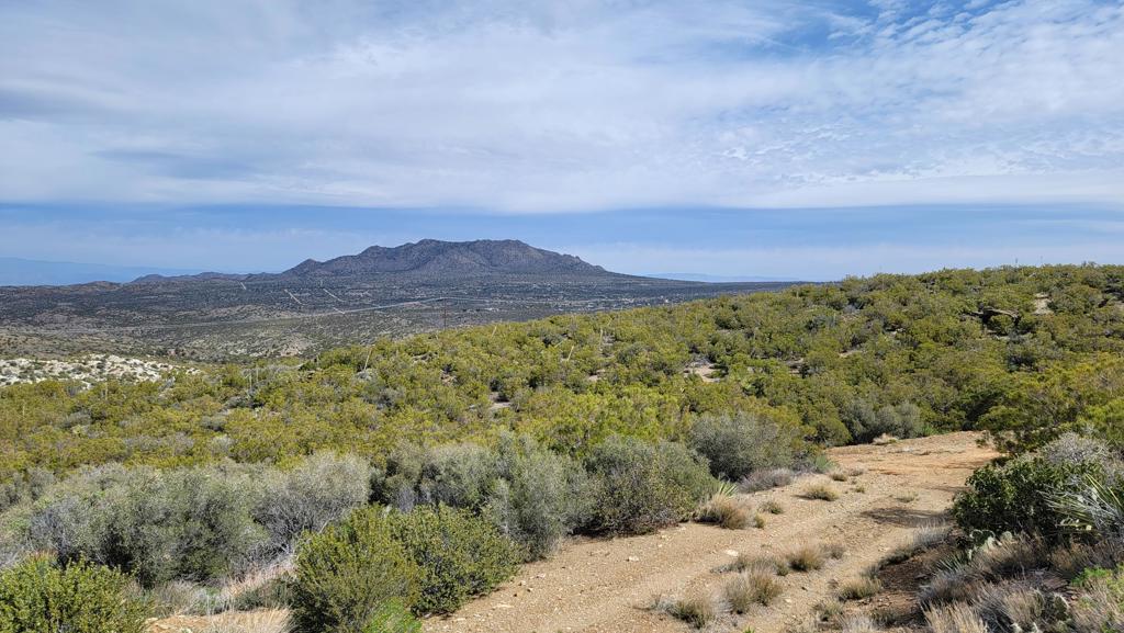 Discover this 1-acre parcel in Mountain Center, perfectly situated near Pinyon Pines in an elevated setting with sweeping scenic views of Pinyon Pines and Pinyon Crest. Nestled between Palm Desert and Mountain Center, this location offers the perfect blend of mountain tranquility and easy access to desert conveniences. An ideal spot to build your dream getaway or invest in a serene retreat surrounded by natural beauty.