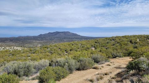 Photo of 0 Palace Drive, Mountain Center, CA 92561 (MLS # 219133868DA) Photo of 0 Palace Drive, Mountain Center, CA 92561 (MLS # 219133868DA)