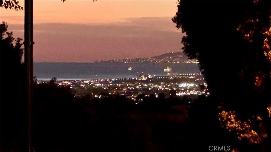 14 Pavona, Newport Coast CA 92657 - Photo 47