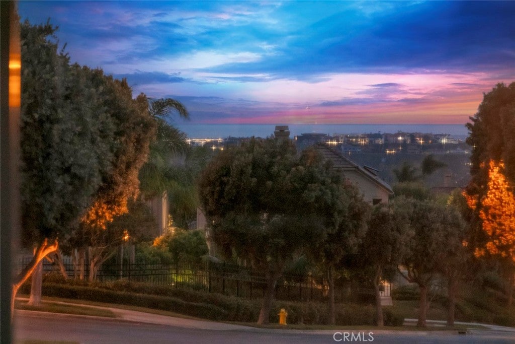 14 Pavona, Newport Coast CA 92657 - Photo 51