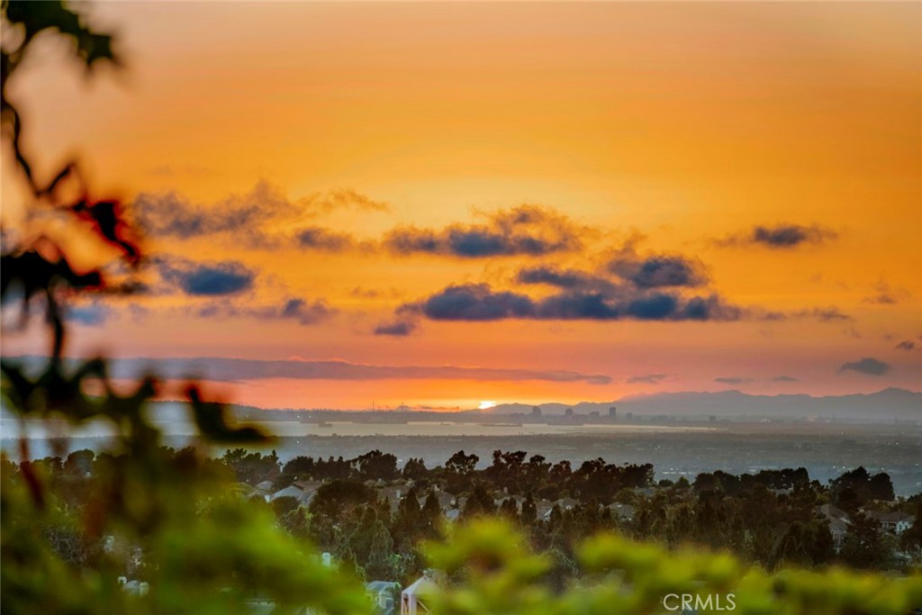 Elevated on a private corner lot in one of Newport Coast’s most sought-after communities, this Tesoro Crest residence pairs stunning ocean views with an open, light-filled layout. Enjoy views of downtown Long Beach and Catalina Island, with a wraparound yard that offers multiple areas for entertaining, relaxing, and taking in the ocean breeze. Step inside to soaring two-story ceilings and an abundance of natural light that immediately set the tone. The formal living and dining areas greet you upon entry and flow effortlessly into the kitchen and great room, creating a seamless layout ideal for everyday living and entertaining. The kitchen features Calacatta gold marble countertops, a center island with bar seating, and top-of-the-line stainless steel appliances, all framed by walls of windows that bring the outdoors in. Ideal for multigenerational living or guests, the main level includes a bedroom and bath. Upstairs, the expansive primary suite offers a spa-inspired bath with a soaking tub, walk-in shower, dual vanities, TWO walk-in closets, and a private balcony where ocean and sunset views steal the show. Two additional bedrooms and a dedicated office, or bedroom five, complete the upper level. Tesoro Crest is the only neighborhood in Newport Coast with direct pedestrian access to the award-winning Newport Coast Elementary School. Residents also enjoy exclusive access to the community pool and spa, along with Coastal Canyon Club amenities including a Jr. Olympic pool, towel service, tennis, basketball, and social events.
