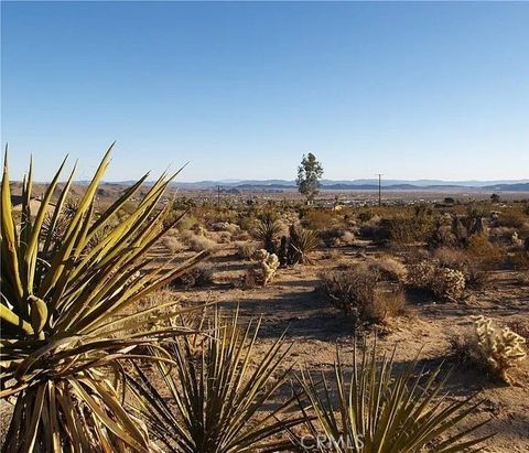 Photo of 7275 Saddleback Rd, Joshua Tree, CA 92252 (MLS # SB26071847)