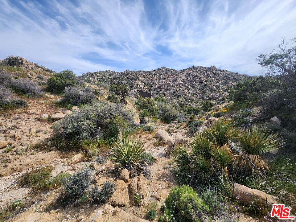 Stunning 10ac parcel in the most desirable area of Rock Reach in Yucca Valley. Drive through park-like boulders and pass million-dollar architecturally significant homes on your way to this dramatic and private canyon with unbelievable sunset views over Water Canyon and Pioneertown all the way to San Gorgonio Mountain beyond. Improvements include two large building pads each with water from water tank. Lower pad has septic and a 160sf off-grid cabin as well. This is a particularly unique and spectacular property, truly the best the desert has to offer. 34.140072, -116.446406 Agent is half-owner of property.