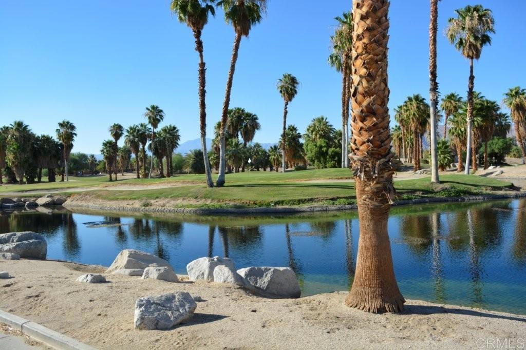 1010 Palm Canyon Drive 394