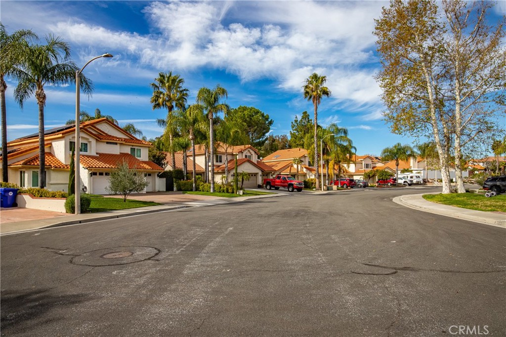 24910 Chicory Court
