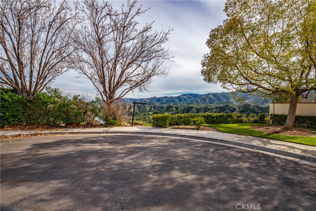 24910 Chicory Court