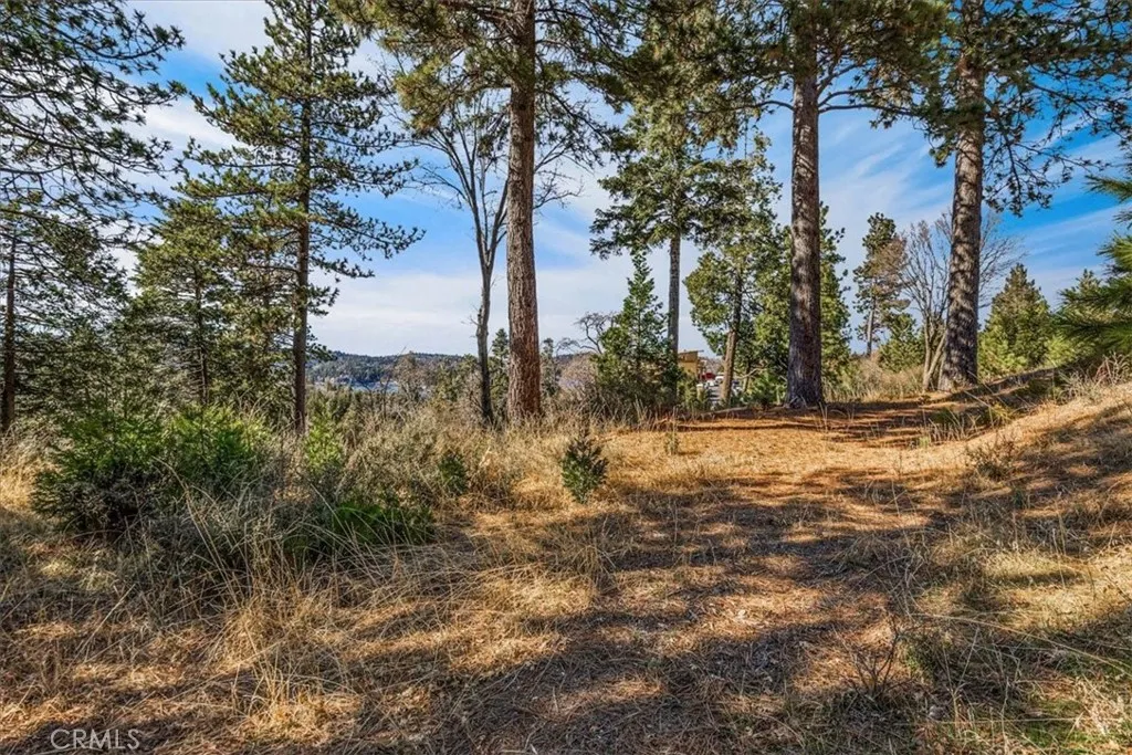 Lake Arrowhead, California 92352, United States, ,Land,Active,244647