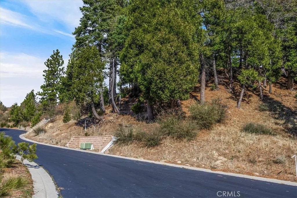 Lake Arrowhead, California 92352, United States, ,Land,Active,244647