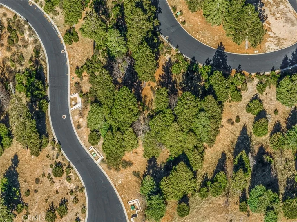 Lake Arrowhead, California 92352, United States, ,Land,Active,244647