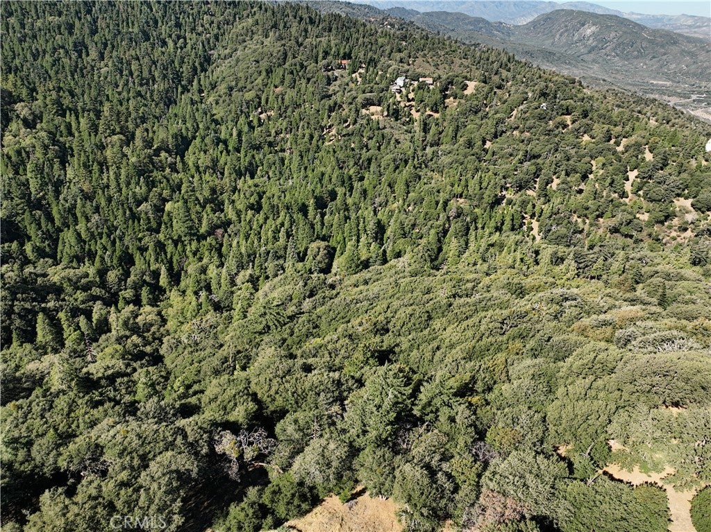756 Mojave River (NEAR) Road