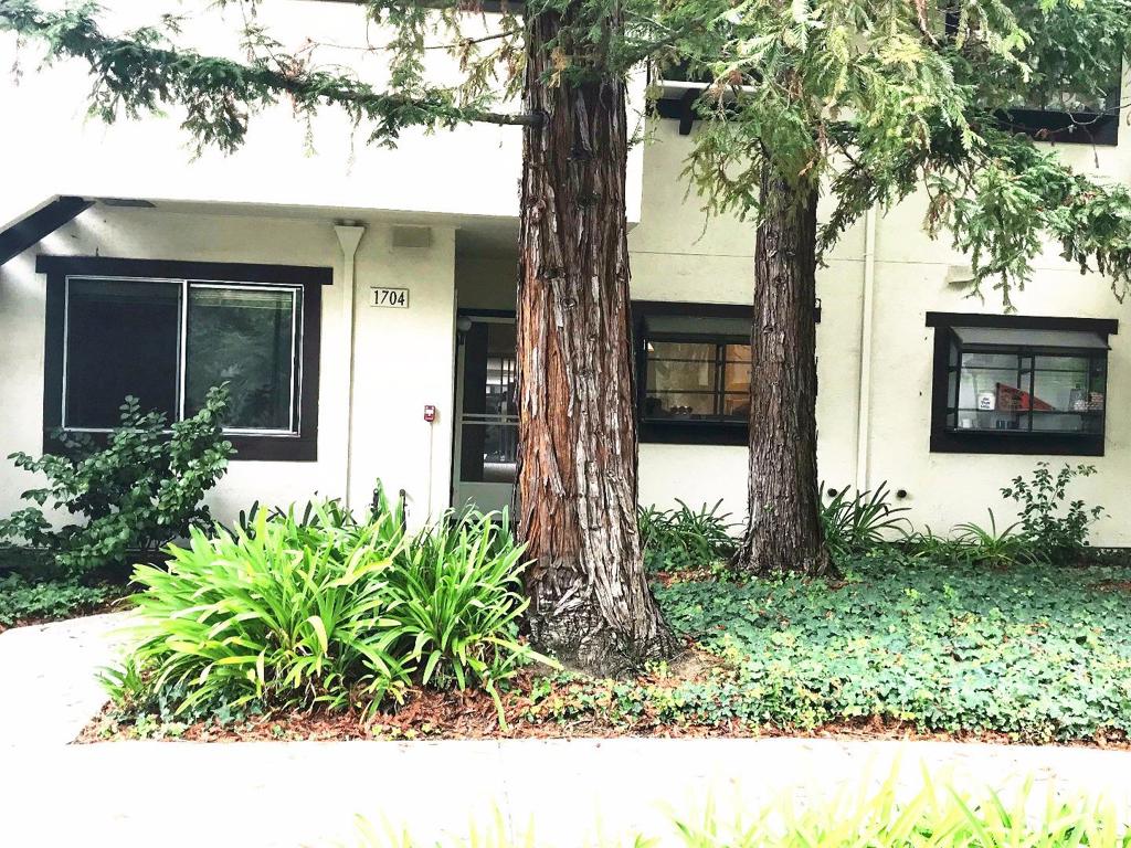 Great location ,Very quiet downstairs unit, with large backyard and storage shed, yard has separate entrance.