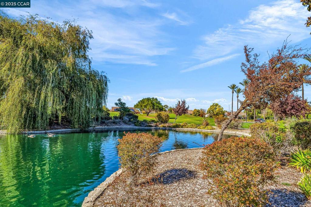 TRILOGY - Residential