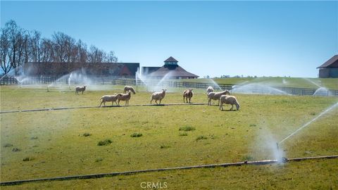 Tiny photo for 5010 Gate 4 Rd. Rd, Paso Robles, CA 93446 (MLS # SC25117762)