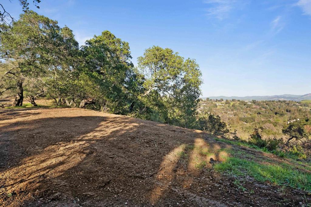 3533 Springhill Road