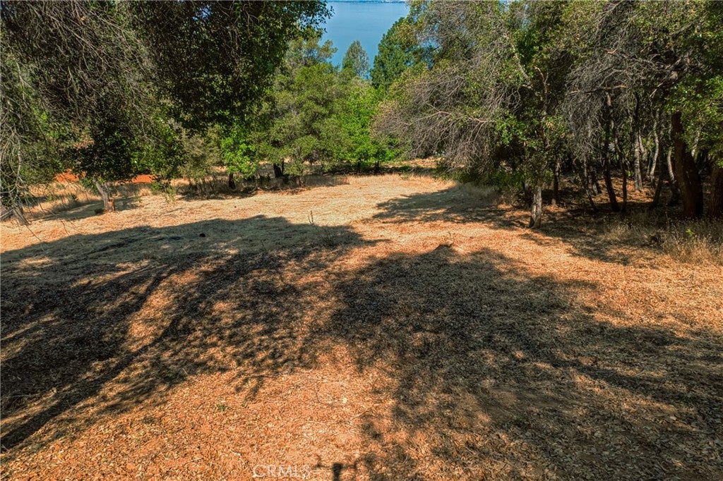 3167 Skyline Drive
