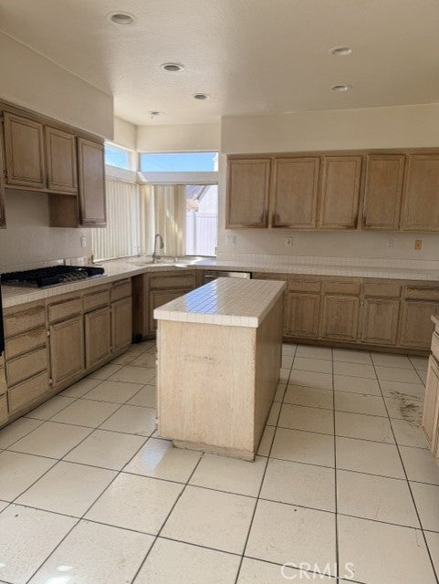 24399 Saddlebag Court