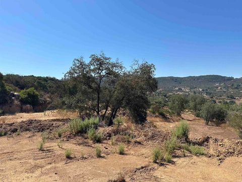 Photo of 16223 Lawson Valley Road, Jamul, CA 91935 (MLS # PTP2602343)