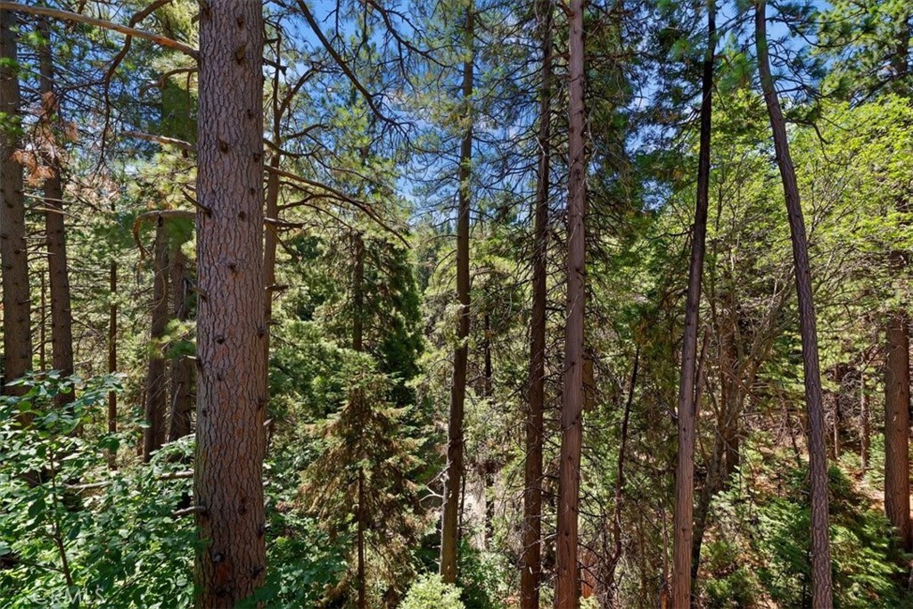 Twin Peaks (TWIN) - Residential