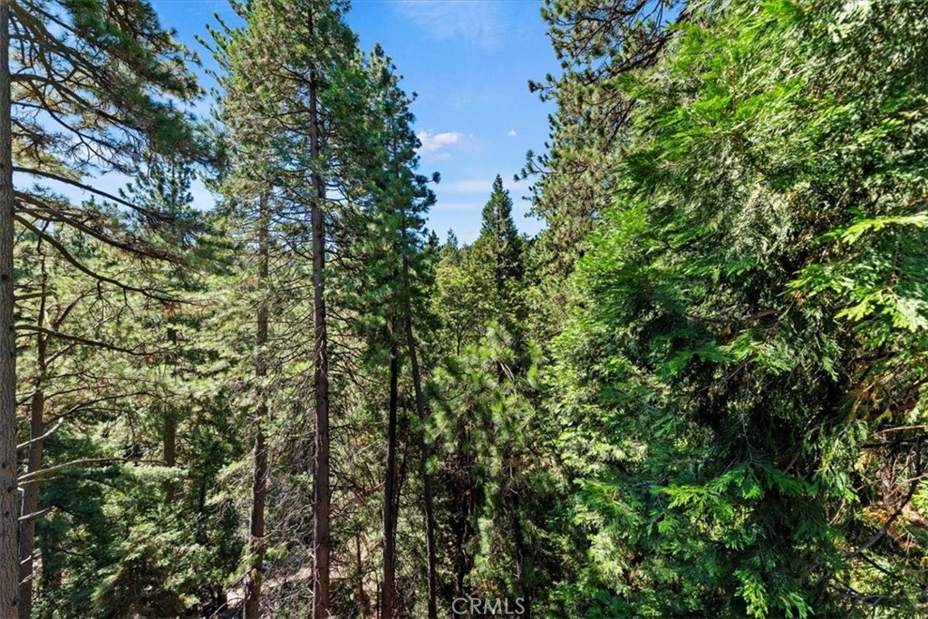 Twin Peaks (TWIN) - Residential