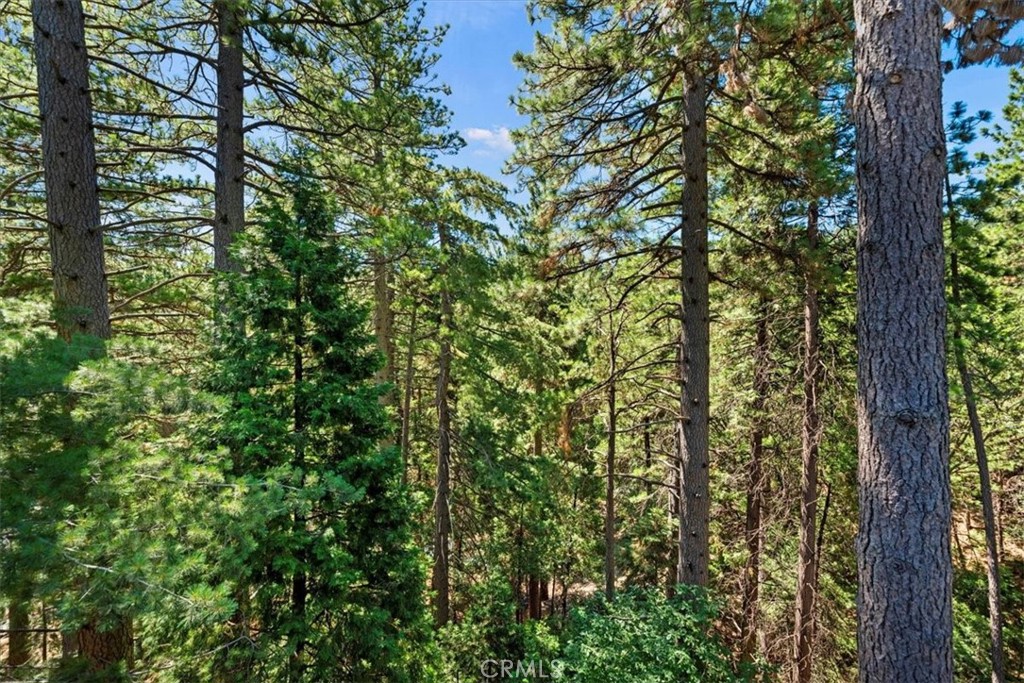 Twin Peaks (TWIN) - Residential