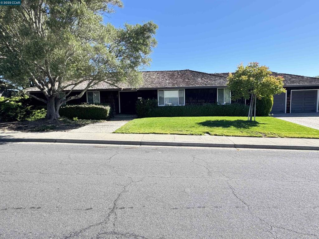 Stunning Mt. Diablo View. The Rheem Valley Manor is located in the Heart of Moraga and consists of some of Moraga's' most beautiful homes located just minutes from everything. So much potential here. Very rare property with a large flat backyard, one story, with Pool, Hot Tub and plenty more room to play. There is additional yard area beyond the flat space. Perfect for grape vines or fruit trees. Stone kitchen countertops, eating area, pantry, and the view from a large picture windows and the rest of the rooms facing the view. There is a Formal dining room and living room. The family room also has the incredible view. Laundry Room. 2 Car Garage & Electric Garage Door Opener. Located at the end of Birchwood; Cul-de-sac. This home on this lot could be something really amazing. Pest, home, and roof reports available. Welcome Home!