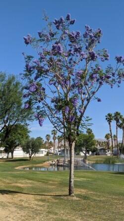Rancho Casa Blanca - Land