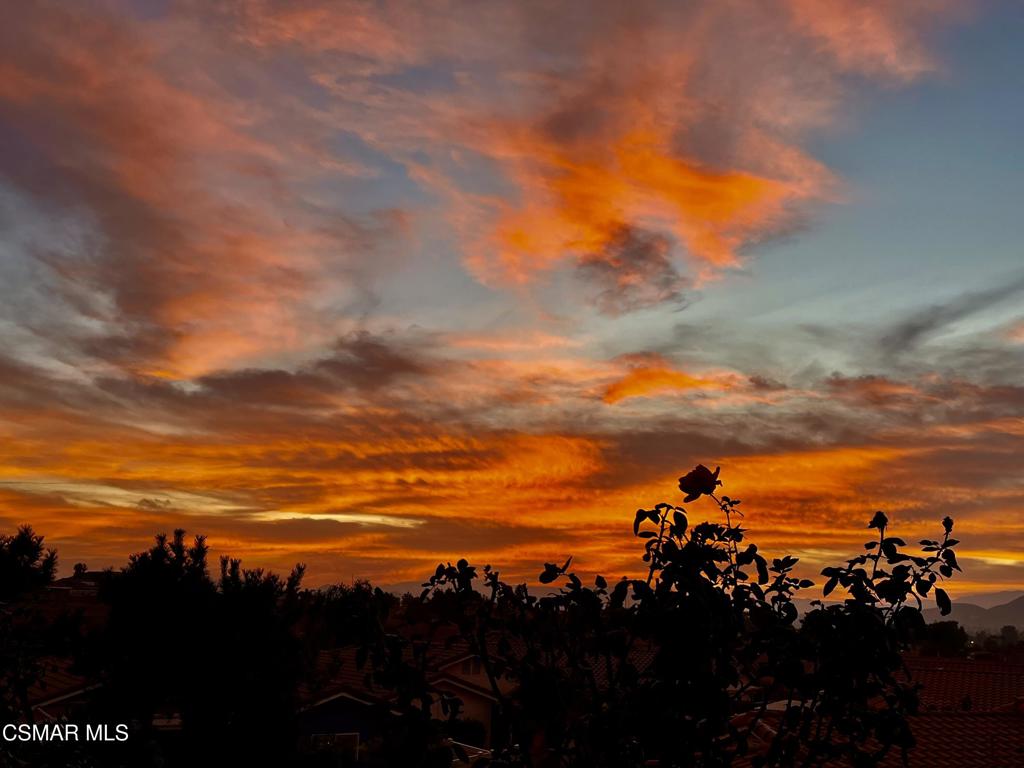 28161 Evening Star Drive