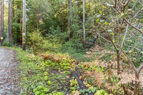 4 Old Mill Avenue Felton CA 95018