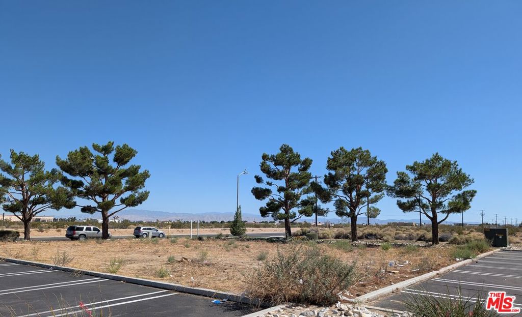 0 Amargosa Road