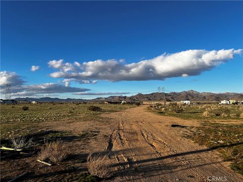33520 Haynes Lucerne Valley CA 92356