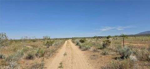 Photo of 0 175th St E W10, Llano, CA 93591 (MLS # SR26085026)