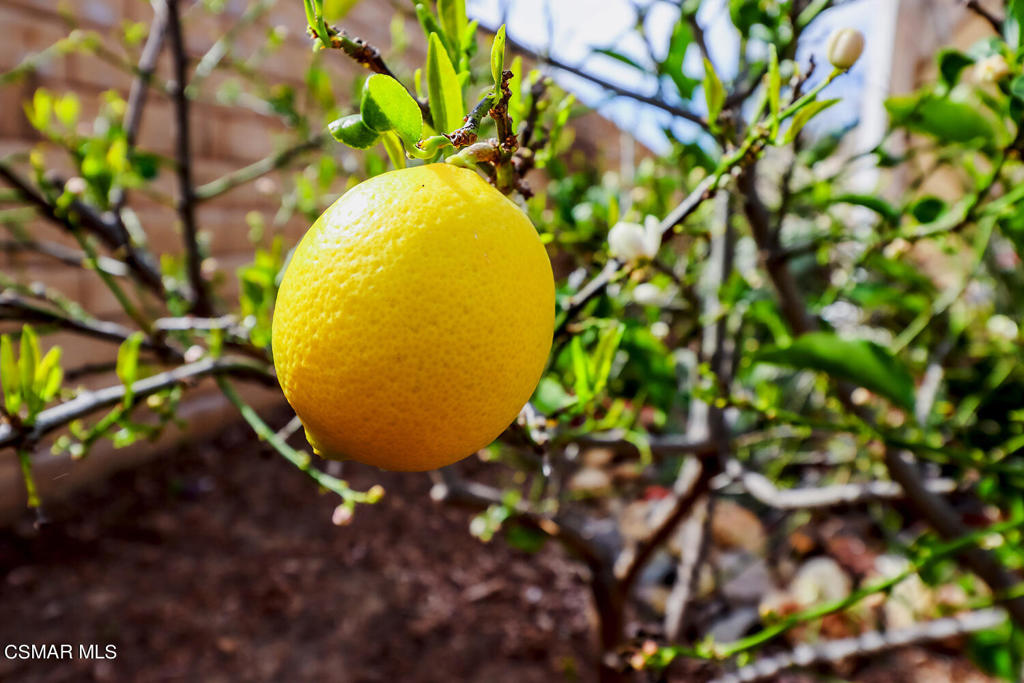 Canterbury Lane-502 - 210 - Residential