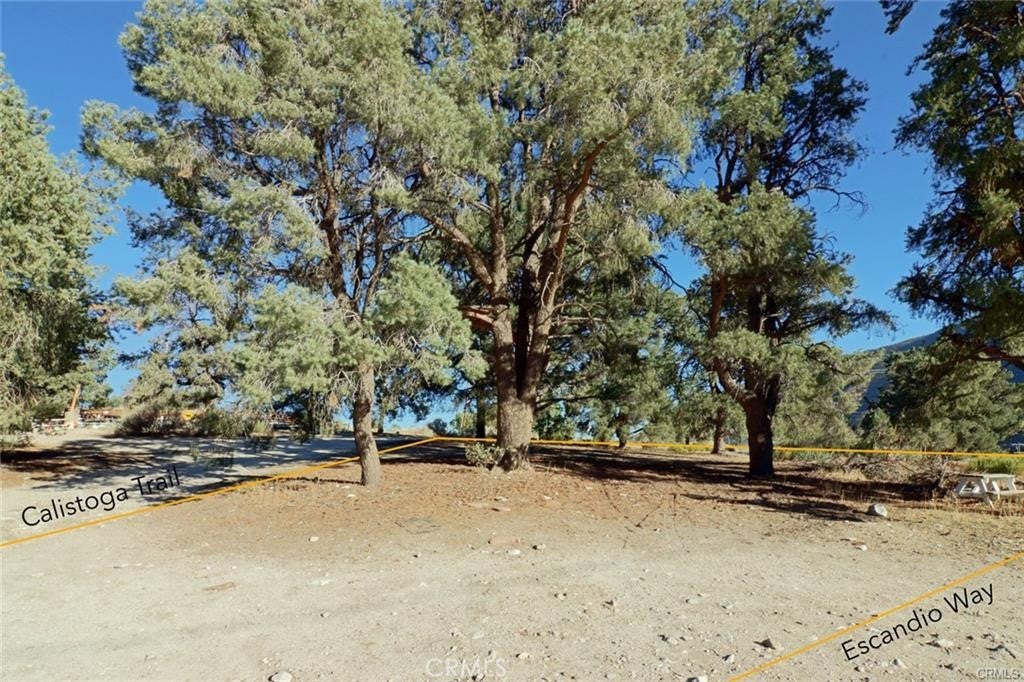 0 Calistoga