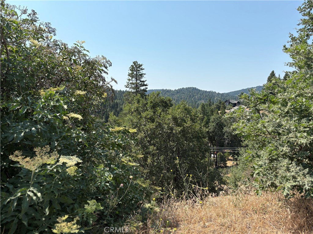 Arrowhead Woods (AWHW) - Land