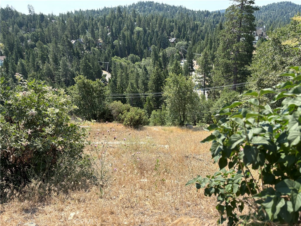 Arrowhead Woods (AWHW) - Land
