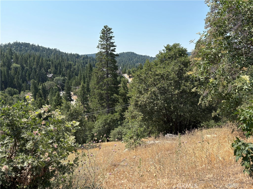 Arrowhead Woods (AWHW) - Land