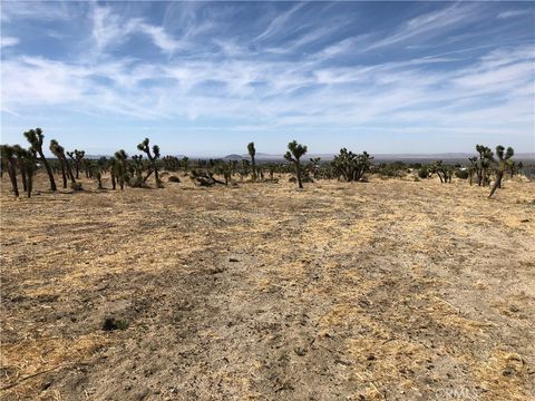 Photo of 10823 Daisy Court Lane, Pinon Hills, CA 92372 (MLS # CV25082303)