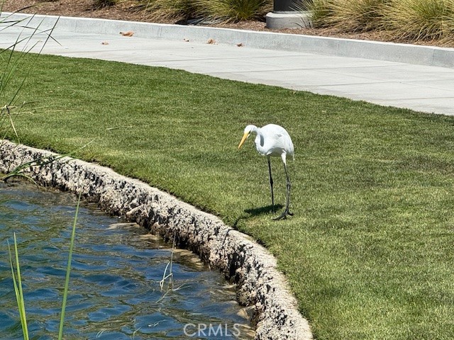 Dahlia (DHLA) - Residential