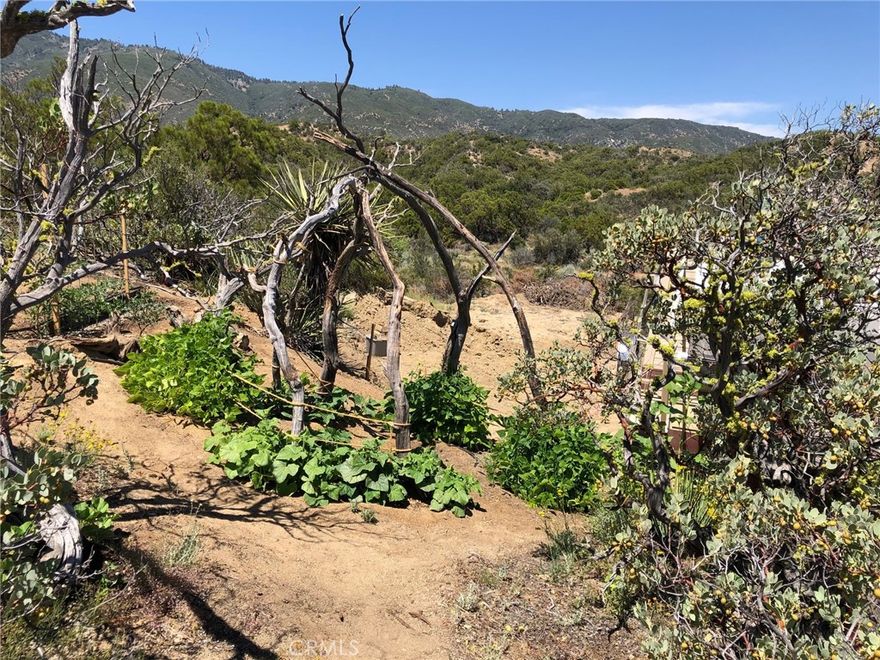 OFF-GRID MOUNTIAN RETREAT! 
Nearly 5 private acres in Anza with stunning mountain views. Surrounded by native Pines, Red Shank, and Manzanita, this off-grid property offers four-season living and the perfect opportunity to build your own homestead. Septic system and water storage tank already on site.
