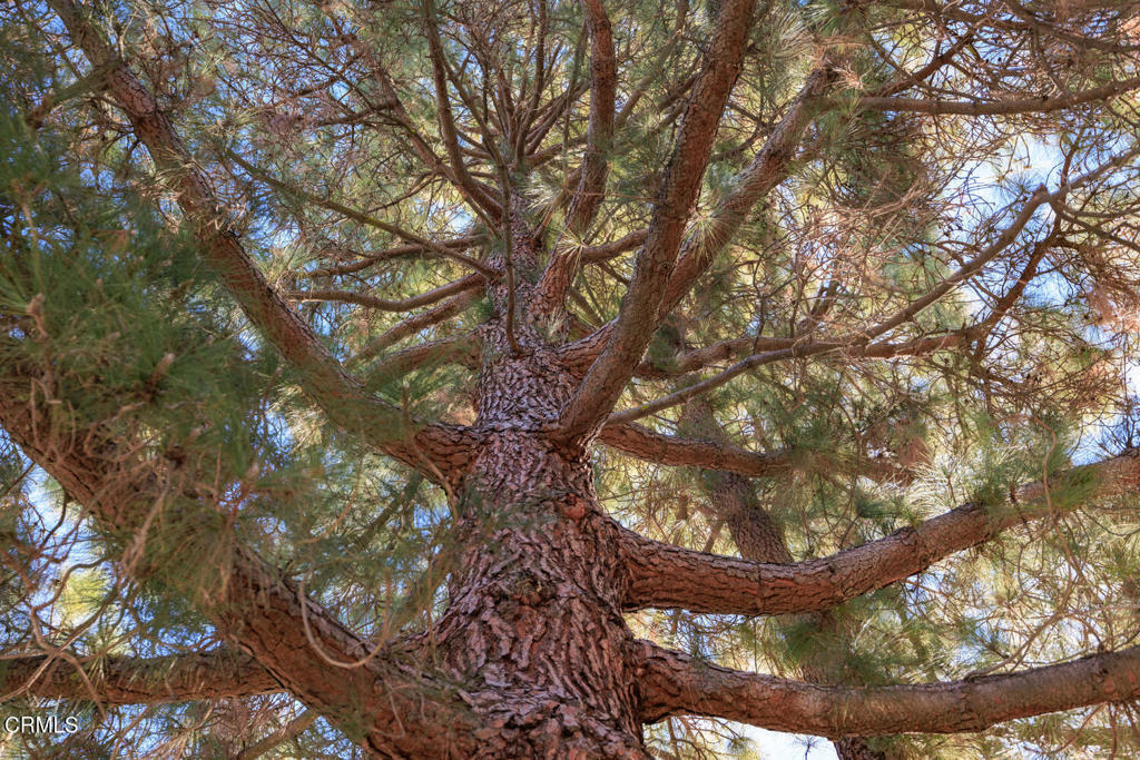 Leisure Village 1 - 226501 - Residential