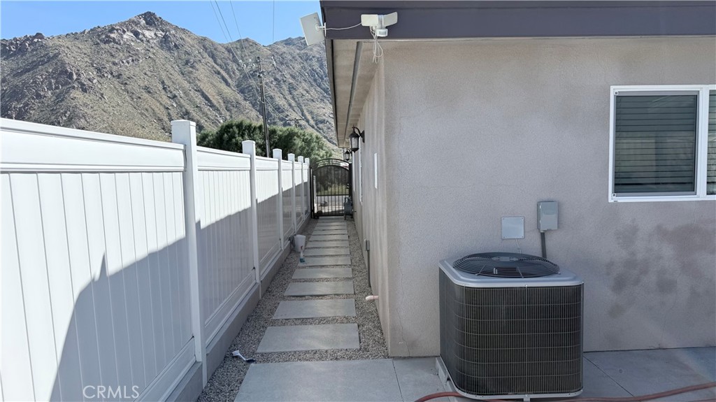 60242 Palm Oasis