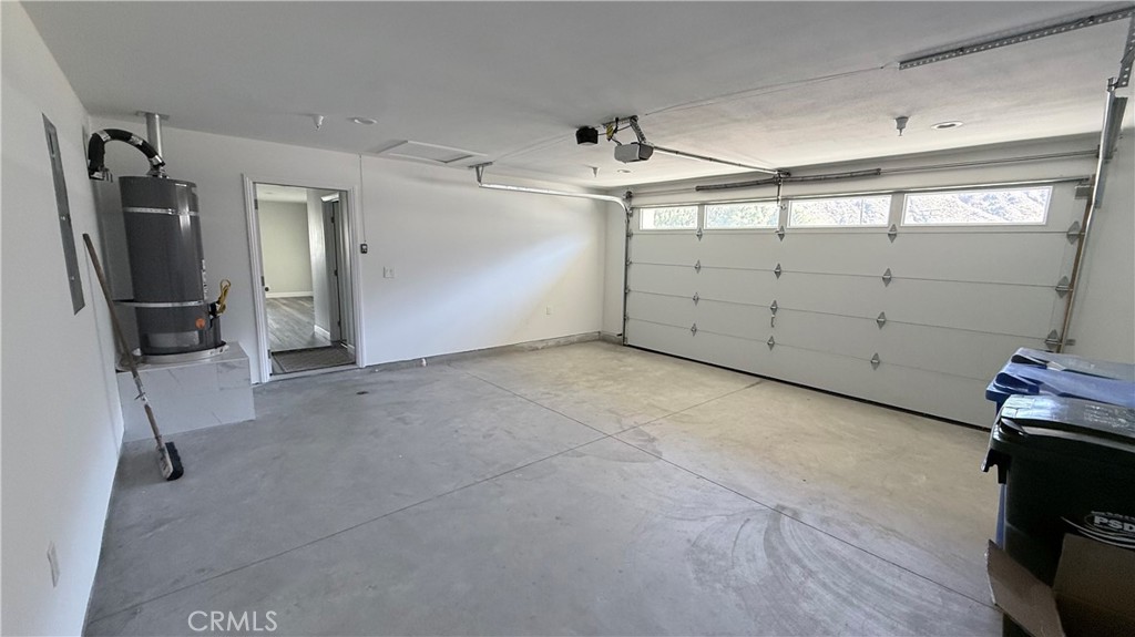 60242 Palm Oasis