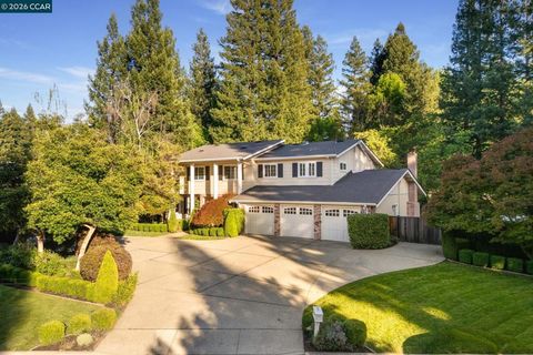 Photo of 209 Still Creek Rd Rd, Danville, CA 94506 (MLS # 41130149)