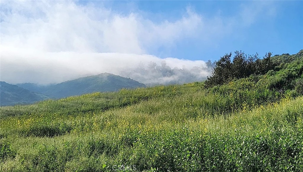 Village Niguel Vistas I (VNV) - Residential Lease