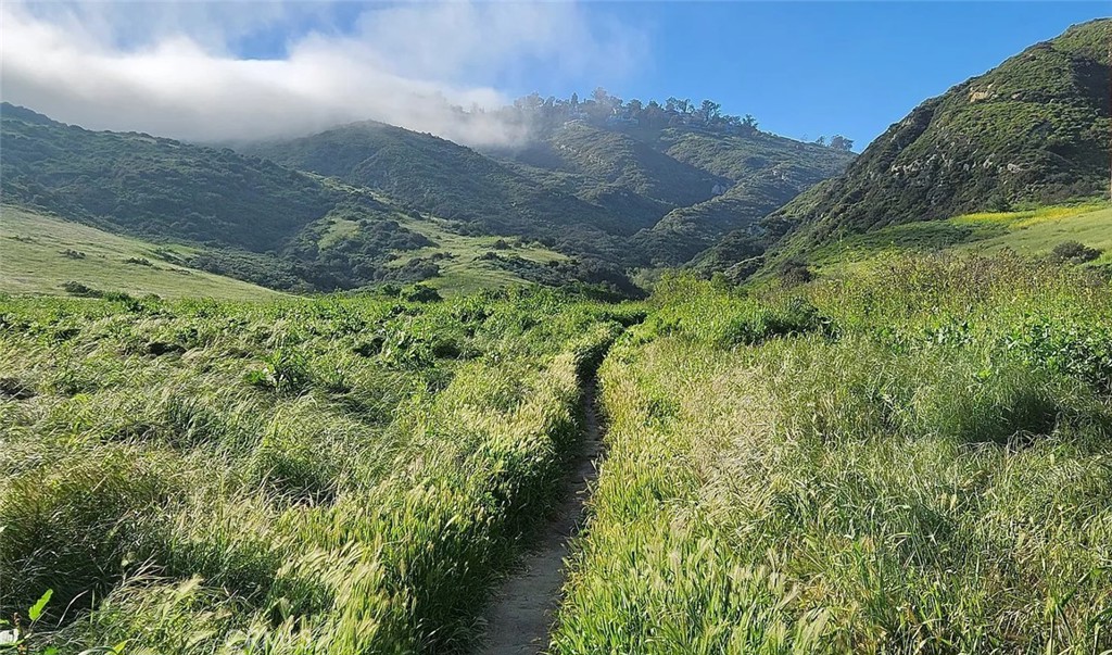 Village Niguel Vistas I (VNV) - Residential Lease